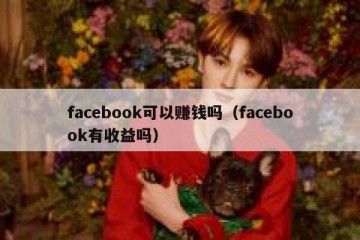 facebook可以赚钱吗（facebook有收益吗）