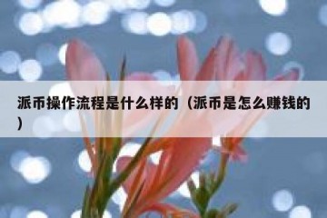 派币操作流程是什么样的（派币是怎么赚钱的）