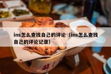 ins怎么查找自己的评论（ins怎么查找自己的评论记录）