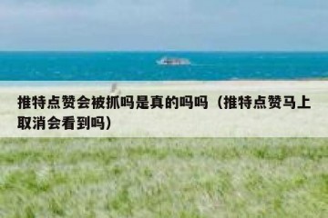 推特点赞会被抓吗是真的吗吗（推特点赞马上取消会看到吗）