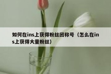 如何在ins上获得粉丝团称号（怎么在ins上获得大量粉丝）