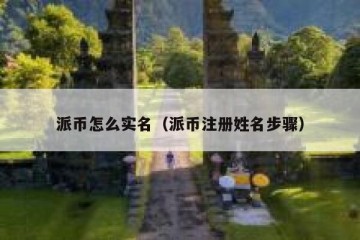 派币怎么实名（派币注册姓名步骤）