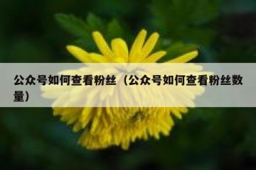 公众号如何查看粉丝（公众号如何查看粉丝数量）
