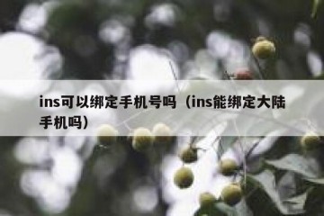 ins可以绑定手机号吗（ins能绑定大陆手机吗）