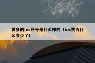 赞多的ins账号是什么样的（ins赞为什么变少了）