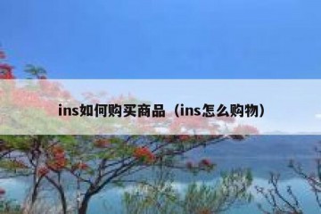 ins如何购买商品（ins怎么购物）