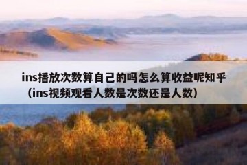 ins播放次数算自己的吗怎么算收益呢知乎（ins视频观看人数是次数还是人数）