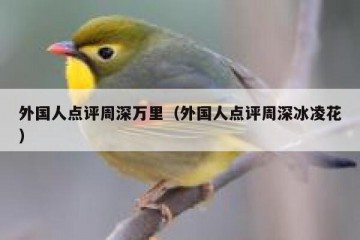 外国人点评周深万里（外国人点评周深冰凌花）