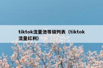 tiktok流量池等级列表（tiktok流量红利）