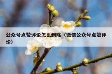 公众号点赞评论怎么删除（微信公众号点赞评论）