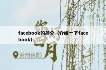 facebook的简介（介绍一下facebook）