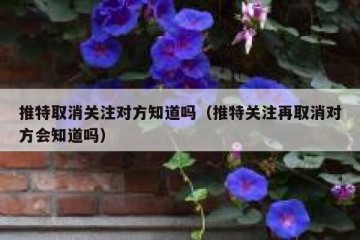 推特取消关注对方知道吗（推特关注再取消对方会知道吗）