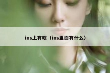 ins上有啥（ins里面有什么）