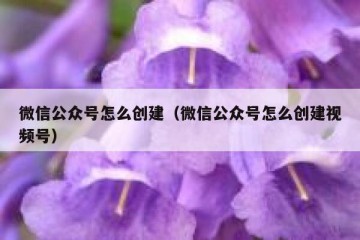 微信公众号怎么创建（微信公众号怎么创建视频号）