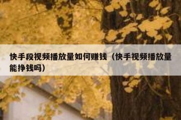 快手段视频播放量如何赚钱（快手视频播放量能挣钱吗）