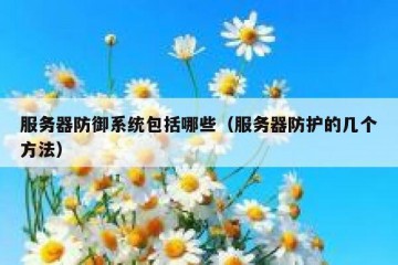 服务器防御系统包括哪些（服务器防护的几个方法）