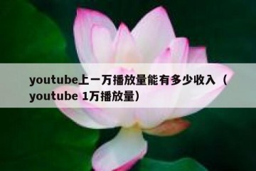 youtube上一万播放量能有多少收入（youtube 1万播放量）