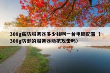 300g高防服务器多少钱啊一台电脑配置（300g防御的服务器能抗攻击吗）