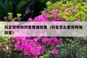 抖音视频如何查看播放量（抖音怎么看视频播放量）