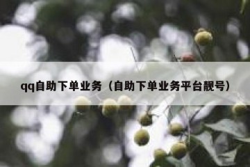 qq自助下单业务（自助下单业务平台靓号）
