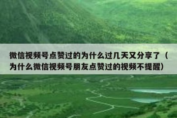 微信视频号点赞过的为什么过几天又分享了（为什么微信视频号朋友点赞过的视频不提醒）