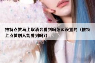 推特点赞马上取消会看到吗怎么设置的（推特上点赞别人能看到吗?）