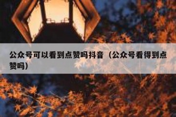 公众号可以看到点赞吗抖音（公众号看得到点赞吗）