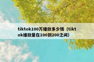 tiktok100万播放多少钱（tiktok播放量在100到200之间）