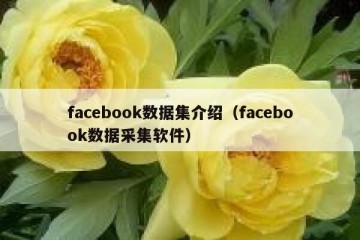 facebook数据集介绍（facebook数据采集软件）
