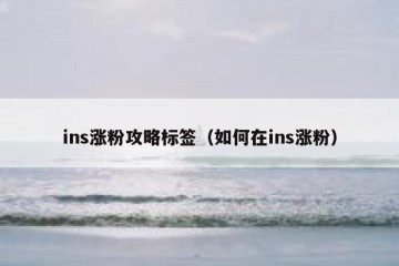 ins涨粉攻略标签（如何在ins涨粉）