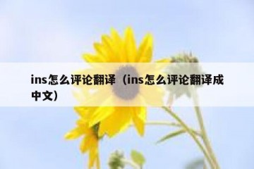 ins怎么评论翻译（ins怎么评论翻译成中文）