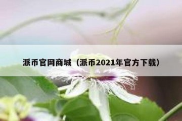 派币官网商城（派币2021年官方下载）