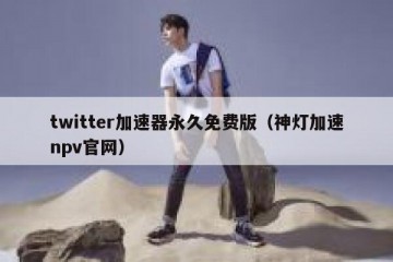 twitter加速器永久免费版（神灯加速npv官网）