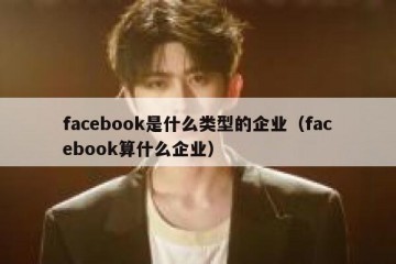 facebook是什么类型的企业（facebook算什么企业）