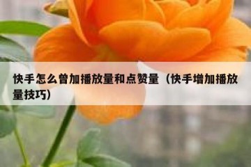 快手怎么曾加播放量和点赞量（快手增加播放量技巧）