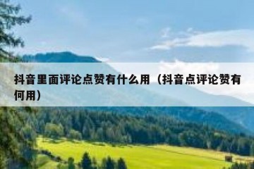 抖音里面评论点赞有什么用（抖音点评论赞有何用）