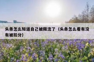 头条怎么知道自己被限流了（头条怎么看有没有被扣分）