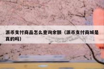 派币支付商品怎么查询余额（派币支付商城是真的吗）