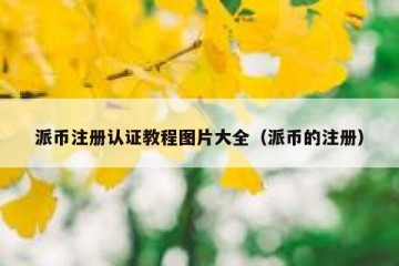 派币注册认证教程图片大全（派币的注册）
