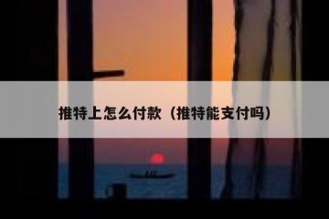 推特上怎么付款（推特能支付吗）
