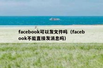 facebook可以发文件吗（facebook不能直接发消息吗）