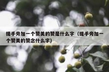 提手旁加一个赞美的赞是什么字（提手旁加一个赞美的赞念什么字）
