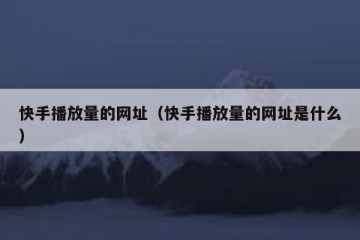 快手播放量的网址（快手播放量的网址是什么）