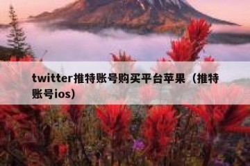 twitter推特账号购买平台苹果（推特账号ios）