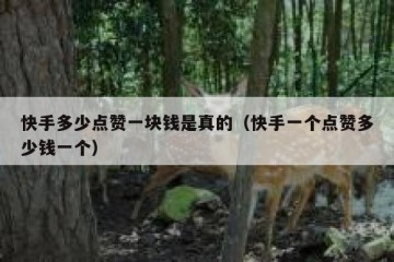 快手多少点赞一块钱是真的（快手一个点赞多少钱一个）