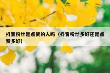 抖音粉丝是点赞的人吗（抖音粉丝多好还是点赞多好）