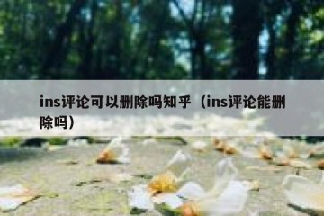 ins评论可以删除吗知乎（ins评论能删除吗）