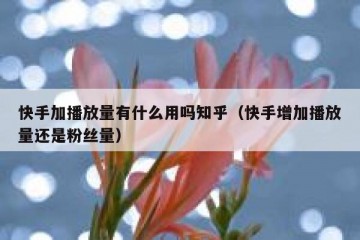 快手加播放量有什么用吗知乎（快手增加播放量还是粉丝量）