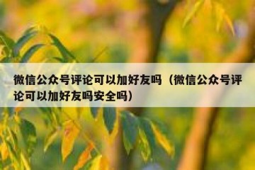 微信公众号评论可以加好友吗（微信公众号评论可以加好友吗安全吗）