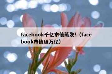 facebook千亿市值蒸发!（facebook市值破万亿）